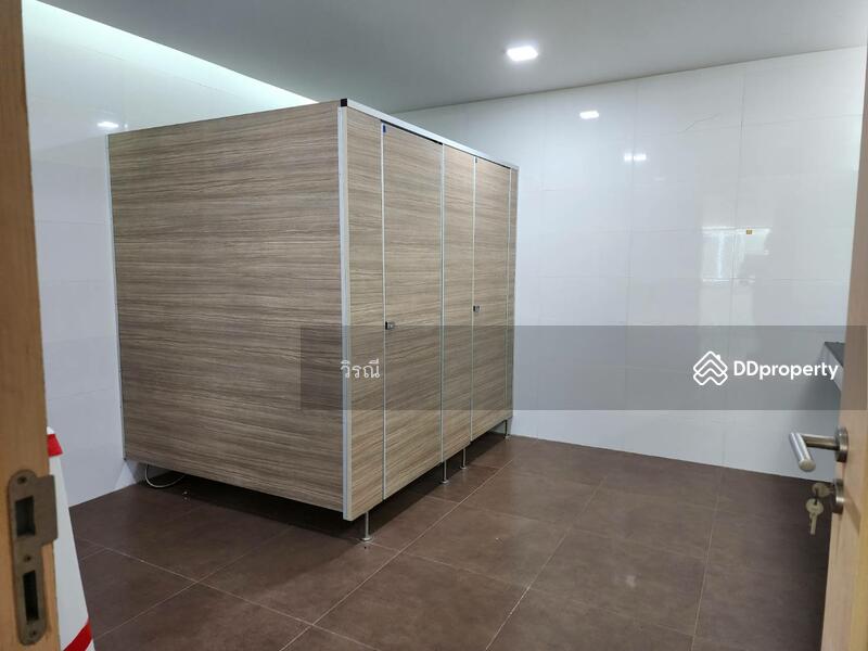 ให้เช่า - เชา สำนักงานในเมือง ตึก 4 คูหา 4 ชั้น, นครราชสีมา