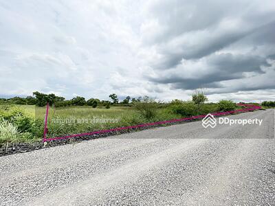 ขาย - ขายที่ดิน องครักษ์ นครนายก แปลงมุม สวยติดถนน 2 ด้าน อยู่ในเขตตัวเมืององครักษ์, นครนายก