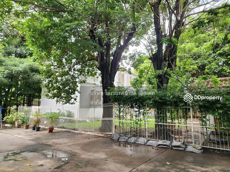 ขายที่ดินพร้อมอาคาร พร้อมพงษ์ สุขุมวิท : Land for sale with building, Phrom Phong, Sukhumvit, กรุงเทพ, คลองตันเหนือ, วัฒนา, กรุงเทพ, 3,208 ตร.ม., ที่ดิน ขาย, โดย TOAH T., 11030280 - DDproperty.com