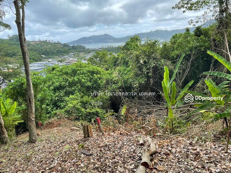 ขายที่ดิน ป่าตอง ภูเก็ต, ภูเก็ต, ป่าตอง, กะทู้, ภูเก็ต, 16,000 ตร.ม., ที่ดิน ขาย, โดย TOAH T., 11030826 - DDproperty.com
