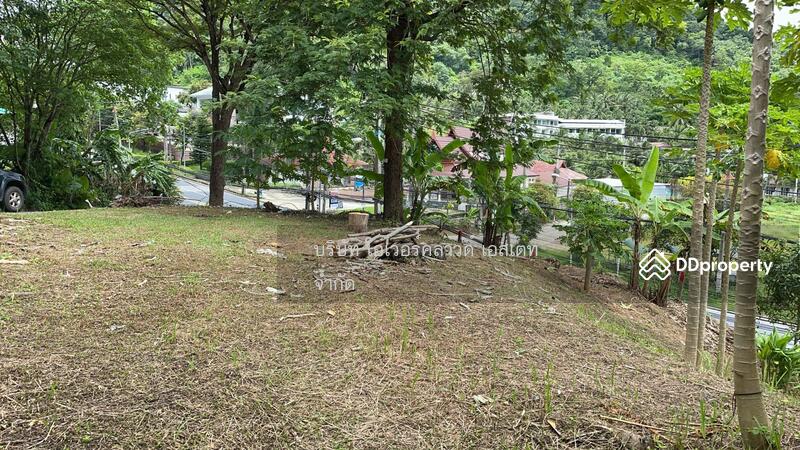 ขายที่ดิน ป่าตอง ภูเก็ต, ภูเก็ต, ป่าตอง, กะทู้, ภูเก็ต, 16,000 ตร.ม., ที่ดิน ขาย, โดย TOAH T., 11030826 - DDproperty.com