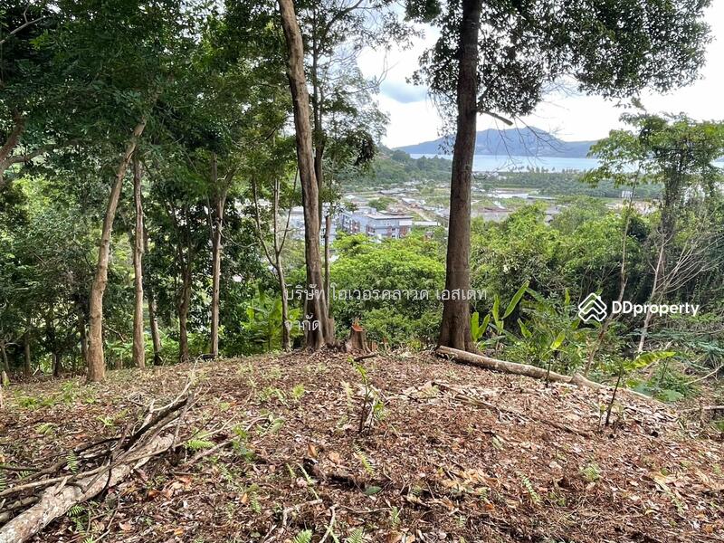 ขายที่ดิน ป่าตอง ภูเก็ต, ภูเก็ต, ป่าตอง, กะทู้, ภูเก็ต, 16,000 ตร.ม., ที่ดิน ขาย, โดย TOAH T., 11030826 - DDproperty.com
