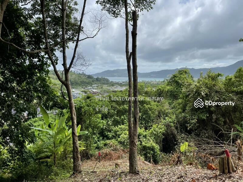 Land for sale Patong Phuket, Phuket, Patong, Kathu, Phuket, , 16,000 sqm, Land For Sale, by TOAH T., 11030826 - DDproperty.com