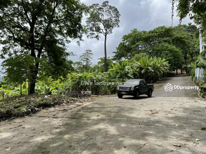 Land for sale Patong Phuket, Phuket, Patong, Kathu, Phuket, , 16,000 sqm, Land For Sale, by TOAH T., 11030826 - DDproperty.com