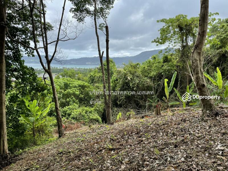 Land for sale Patong Phuket, Phuket, Patong, Kathu, Phuket, , 16,000 sqm, Land For Sale, by TOAH T., 11030826 - DDproperty.com