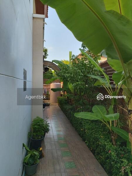 For Rent - Supalai - Suvarnbhumi, Bangkok