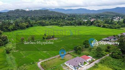 ขาย - ขายที่ดิน ดอยสะเก็ด เนื้อที่เริ่ม 112 ตร.ว แบ่งขาย 4 แปลง วิววัดพระธาตุดอยสะเก็ด, เชียงใหม่