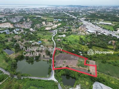 ขาย - ขายที่ดินม่วงลาย หนองข้างคอก ใกล้ถนนเลี่ยงเมือง บายพาส ชลบุรี, ชลบุรี