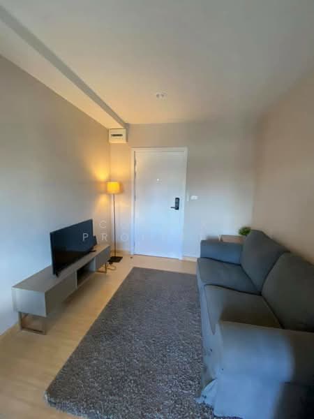 The Tree Onnut Station, Bangkok, 54 Sukhumvit Road, Bang Chak, Phra Khanong, Bangkok, 1 Bedroom, 28 sqm, Condo For Sale, by Connex Property, 11037477 - DDproperty.com