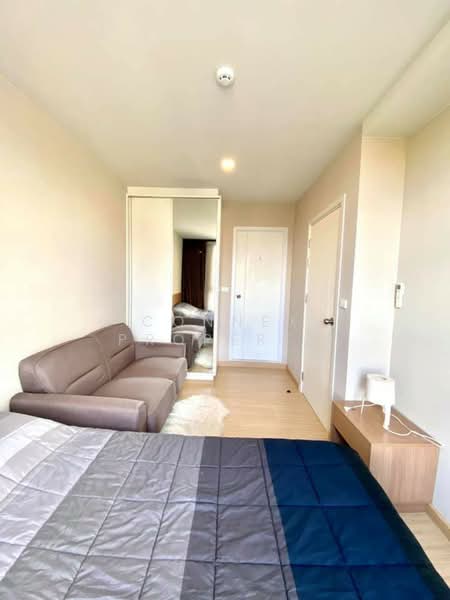 The Tree Onnut Station, Bangkok, 54 Sukhumvit Road, Bang Chak, Phra Khanong, Bangkok, 1 Bedroom, 28 sqm, Condo For Sale, by Connex Property, 11037477 - DDproperty.com