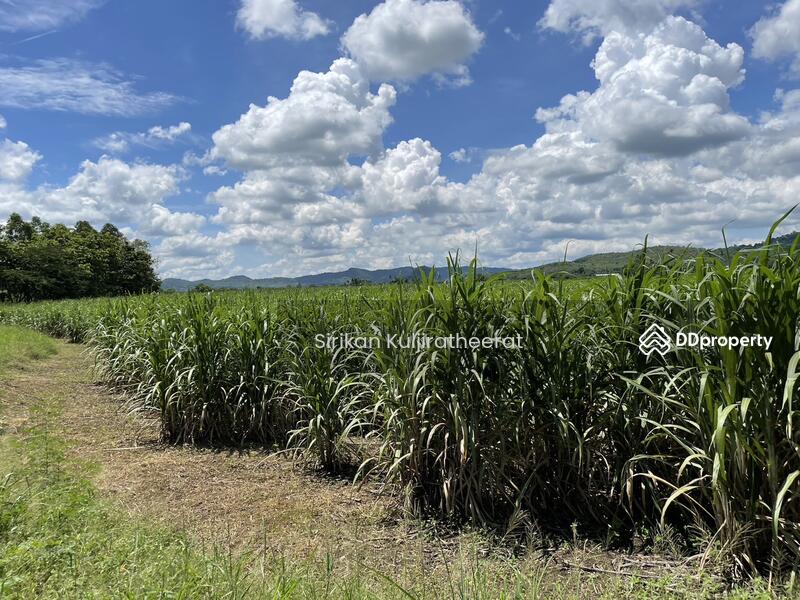 For Sale - Land, Bueng Sam Phan District Phetchabun Province, Phetchabun