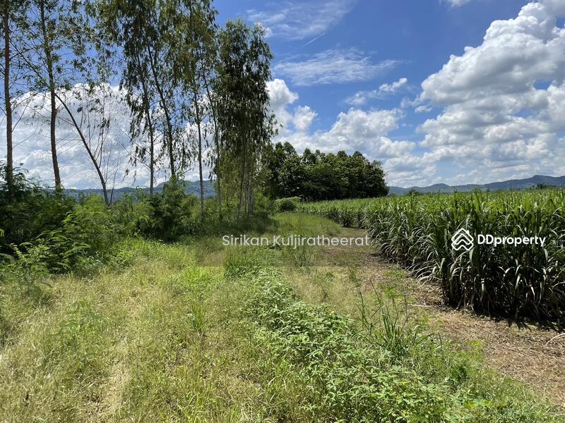 For Sale - Land, Bueng Sam Phan District Phetchabun Province, Phetchabun