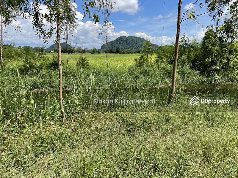 For Sale - Land, Bueng Sam Phan District Phetchabun Province, Phetchabun
