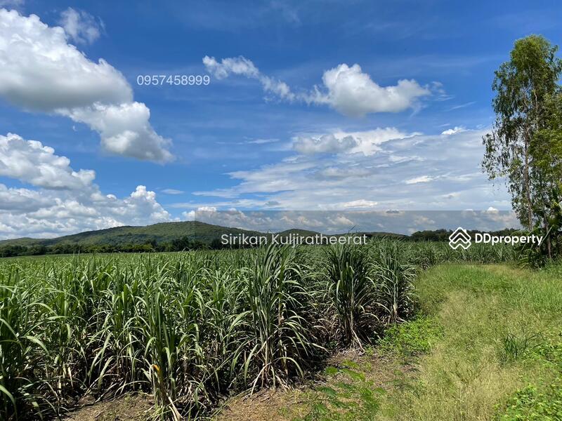 For Sale - Land, Bueng Sam Phan District Phetchabun Province, Phetchabun