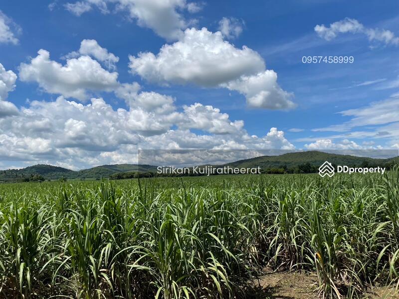For Sale - Land, Bueng Sam Phan District Phetchabun Province, Phetchabun