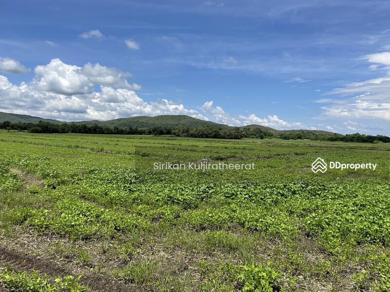 For Sale - Land, Bueng Sam Phan District Phetchabun Province, Phetchabun
