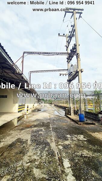 Factory for sale, Rong.4 with buildings, 10 rai (5,000 sq.m), Tha Mai Subdistrict, KrathumBaen, Samut Sakhon, Krathumbaen, Krathum Baen, Samut Sakhon, , 5,000 sqm, Warehouse/Factory For Sale, by วินเนอร์ [แว่น].[Jennie], 11038379 - DDproperty.com