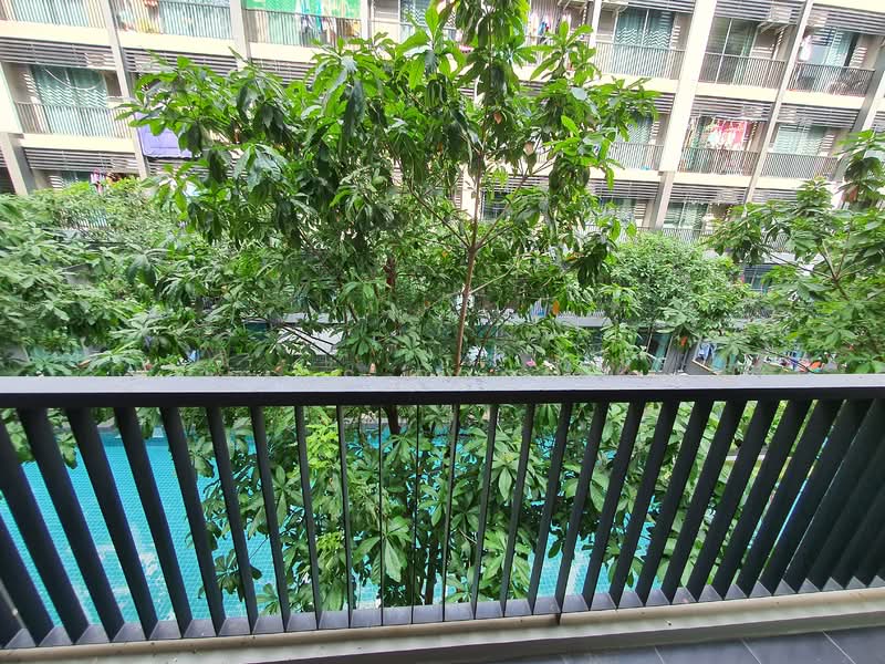 A Space Me Sukhumvit 77, Bangkok, 2363 Soi Sukhumvit 77, Sukhumvit Road, Suan Luang, Suan Luang, Bangkok, 1 Bedroom, 29 sqm, Condo For Rent, by CS Poon, 11038828 - DDproperty.com