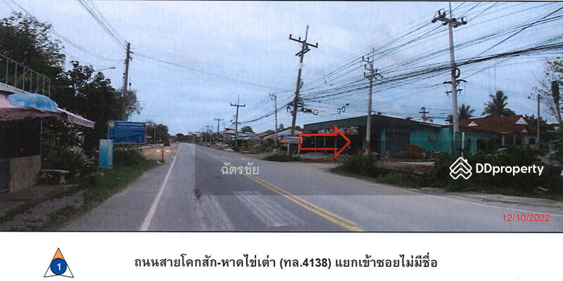 ขาย - ตึกแถว ใกล้ถนนสายโคกสัก-หาดไข่เต่า จ.พัทลุง, พัทลุง