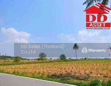 ขาย - ขายที่ดิน หนองใหญ่ ชลบุรี สีม่วงลาย เนื้อที่ 51-2-73 ไร่, ชลบุรี