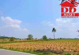 ขายที่ดิน หนองใหญ่ ชลบุรี สีม่วงลาย เนื้อที่ 51-2-73 ไร่ - DDproperty.com