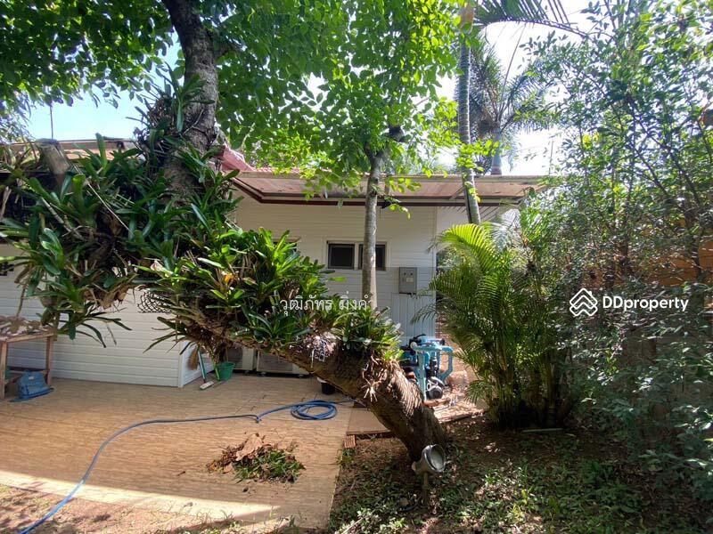 For Rent - สิรินโฮม สันกำแพง, Chiang Mai