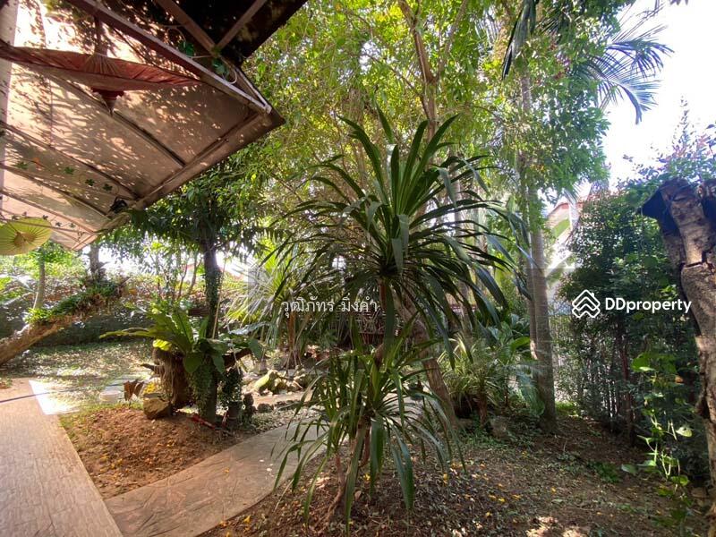 For Rent - สิรินโฮม สันกำแพง, Chiang Mai