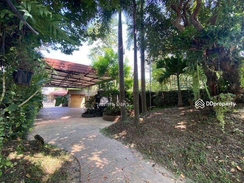 For Rent - สิรินโฮม สันกำแพง, Chiang Mai