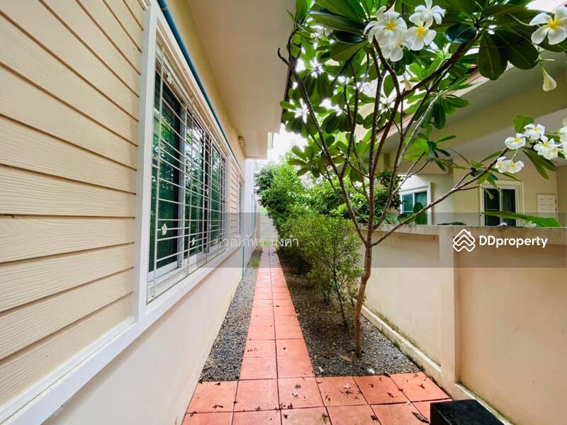 ต.ป่าแดด, Chiang Mai, Pa Daet, Muang Chiang Mai, Chiang Mai, 4 Bedrooms, 250 sqm, Single Detached House For Rent, by วุฒิภัทร มิ่งคำ, 11045006 - DDproperty.com