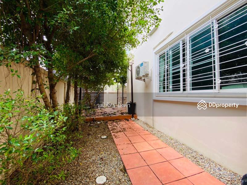 ต.ป่าแดด, Chiang Mai, Pa Daet, Muang Chiang Mai, Chiang Mai, 4 Bedrooms, 250 sqm, Single Detached House For Rent, by วุฒิภัทร มิ่งคำ, 11045006 - DDproperty.com