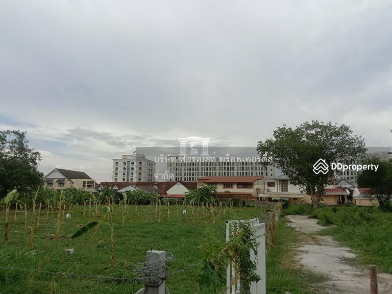 ขาย - 43352 – ขายที่ดิน เนื้อที่ 317 ตร.ว. สุขุมวิท 74 ใกล้ BTS แบริ่ง, สมุทรปราการ