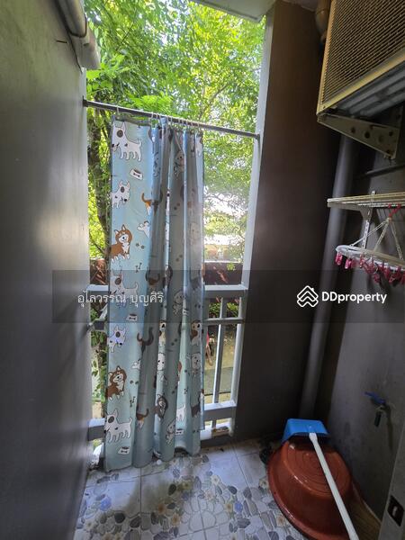 Plum Condo Ladprao 101 : พลัม คอนโด ลาดพร้าว 101, กรุงเทพ, ซอยลาดพร้าว 101 ถนนลาดพร้าว, คลองจั่น, บางกะปิ, กรุงเทพ, 25 ตร.ม., คอนโด ให้เช่า, โดย อุไลวรรณ บุญศิริ, 11045544 - DDproperty.com