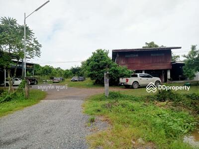 ขาย - ขายที่ดิน 4 ไร่เศษ พร้อมบ้าน 1 หลัง ถนนวิหารแดง ต.หนองสรวง อ. วิหารแดง จ.สระบุรี 18150, สระบุรี