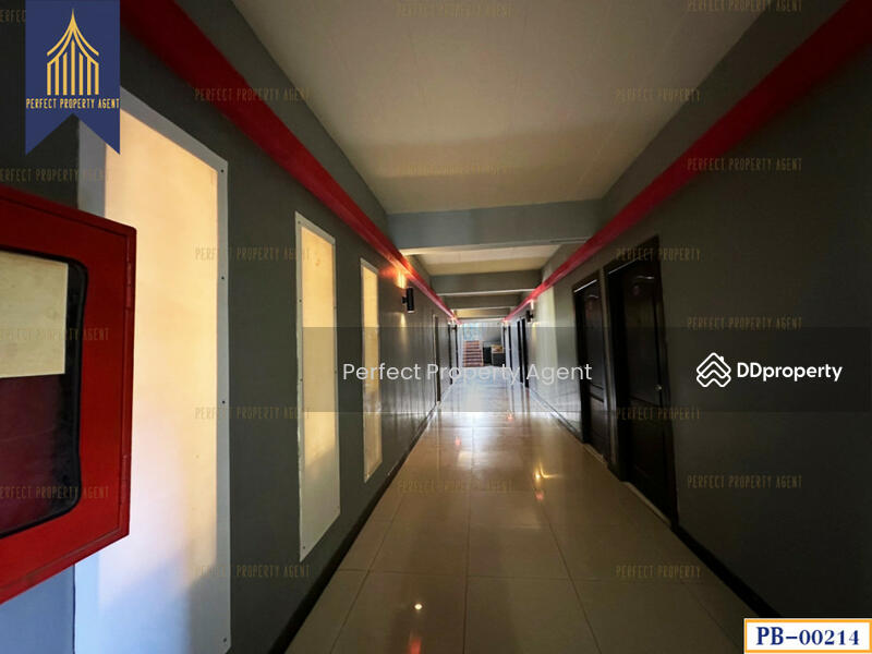 ขายอพาร์ทเม้นท์ อ่อนนุช ประเวศ กรุงเทพมหานคร ใกล้รถไฟฟ้า ทำเลดี, Bangkok, - -, Prawet, Prawet, Bangkok, 10+ Bedrooms, 1,208 sqm, Apartment For Sale, by ปภัชญา ธนัตถ์ภรณ์, 11051214 - DDproperty.com