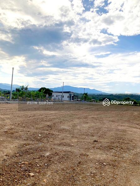 ขาย - แบ่งขาย ที่ดิน 100 ตารางวา วิวภูเขา อ.แม่ริม จ.เชียงใหม่ ถมเรียบร้อยแล้ว, เชียงใหม่