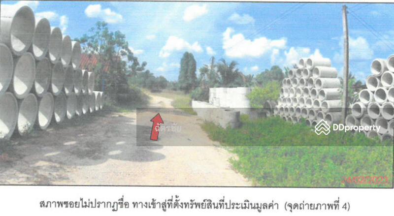 ที่ดินพร้อมสิ่งปลูกสร้าง ติดคลองท่าเชียด จ.พัทลุง, Phatthalung, 313 สายชนะสิทธิ์วิถี, Mae Khari, Tamot, Phatthalung, , 136 sqm, Office Space For Sale, by ฉัตรชัย, 11052505 - DDproperty.com