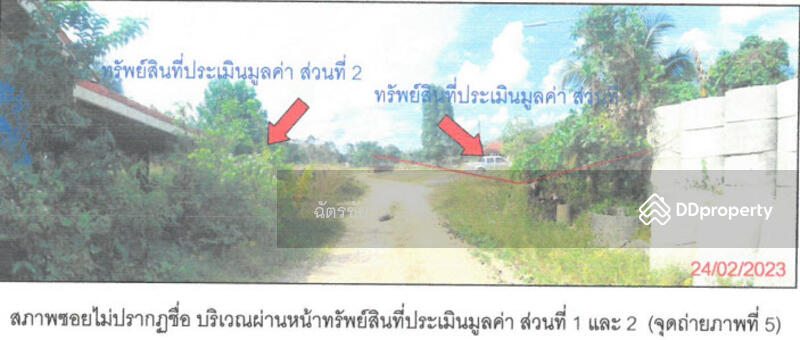 ที่ดินพร้อมสิ่งปลูกสร้าง ติดคลองท่าเชียด จ.พัทลุง, Phatthalung, 313 สายชนะสิทธิ์วิถี, Mae Khari, Tamot, Phatthalung, , 136 sqm, Office Space For Sale, by ฉัตรชัย, 11052505 - DDproperty.com