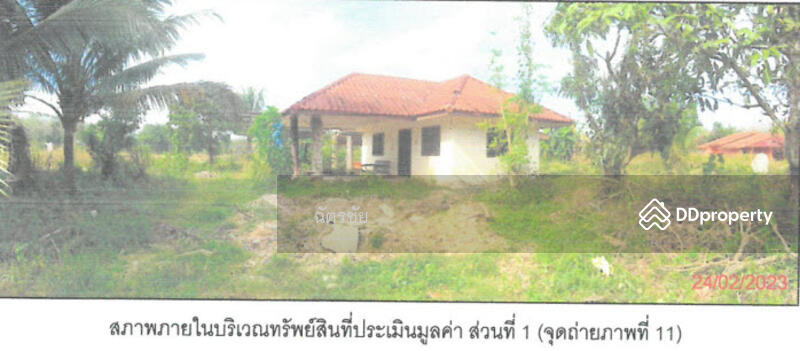 ที่ดินพร้อมสิ่งปลูกสร้าง ติดคลองท่าเชียด จ.พัทลุง, พัทลุง, 313 สายชนะสิทธิ์วิถี, แม่ขรี, ตะโหมด, พัทลุง, 136 ตร.ม., สำนักงาน ขาย, โดย ฉัตรชัย, 11052505 - DDproperty.com