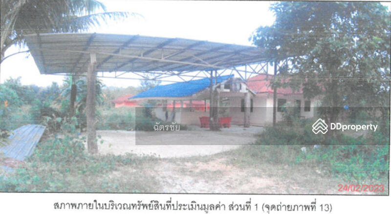ที่ดินพร้อมสิ่งปลูกสร้าง ติดคลองท่าเชียด จ.พัทลุง, Phatthalung, 313 สายชนะสิทธิ์วิถี, Mae Khari, Tamot, Phatthalung, , 136 sqm, Office Space For Sale, by ฉัตรชัย, 11052505 - DDproperty.com