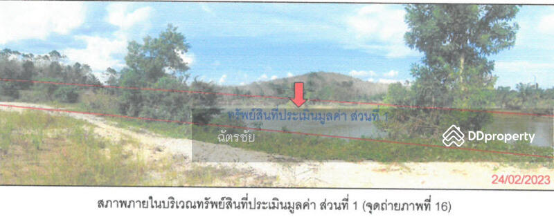 ที่ดินพร้อมสิ่งปลูกสร้าง ติดคลองท่าเชียด จ.พัทลุง, Phatthalung, 313 สายชนะสิทธิ์วิถี, Mae Khari, Tamot, Phatthalung, , 136 sqm, Office Space For Sale, by ฉัตรชัย, 11052505 - DDproperty.com