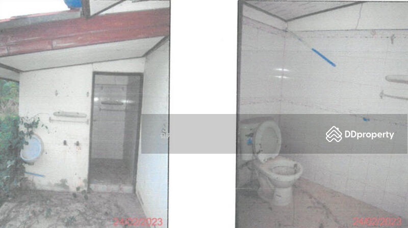 ที่ดินพร้อมสิ่งปลูกสร้าง ติดคลองท่าเชียด จ.พัทลุง, พัทลุง, 313 สายชนะสิทธิ์วิถี, แม่ขรี, ตะโหมด, พัทลุง, 136 ตร.ม., สำนักงาน ขาย, โดย ฉัตรชัย, 11052505 - DDproperty.com