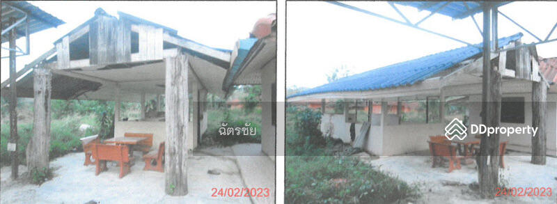 ที่ดินพร้อมสิ่งปลูกสร้าง ติดคลองท่าเชียด จ.พัทลุง, พัทลุง, 313 สายชนะสิทธิ์วิถี, แม่ขรี, ตะโหมด, พัทลุง, 136 ตร.ม., สำนักงาน ขาย, โดย ฉัตรชัย, 11052505 - DDproperty.com