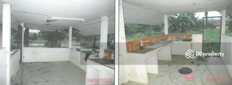 ที่ดินพร้อมสิ่งปลูกสร้าง ติดคลองท่าเชียด จ.พัทลุง, พัทลุง, 313 สายชนะสิทธิ์วิถี, แม่ขรี, ตะโหมด, พัทลุง, 136 ตร.ม., สำนักงาน ขาย, โดย ฉัตรชัย, 11052505 - DDproperty.com