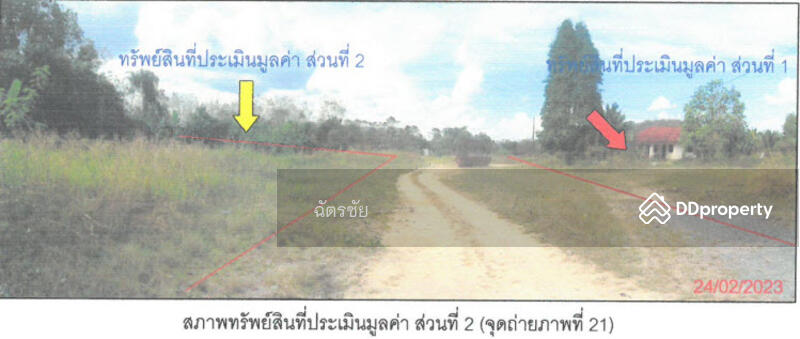 ที่ดินพร้อมสิ่งปลูกสร้าง ติดคลองท่าเชียด จ.พัทลุง, Phatthalung, 313 สายชนะสิทธิ์วิถี, Mae Khari, Tamot, Phatthalung, , 136 sqm, Office Space For Sale, by ฉัตรชัย, 11052505 - DDproperty.com