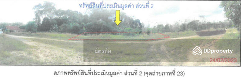 ที่ดินพร้อมสิ่งปลูกสร้าง ติดคลองท่าเชียด จ.พัทลุง, Phatthalung, 313 สายชนะสิทธิ์วิถี, Mae Khari, Tamot, Phatthalung, , 136 sqm, Office Space For Sale, by ฉัตรชัย, 11052505 - DDproperty.com
