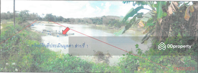 ที่ดินพร้อมสิ่งปลูกสร้าง ติดคลองท่าเชียด จ.พัทลุง, Phatthalung, 313 สายชนะสิทธิ์วิถี, Mae Khari, Tamot, Phatthalung, , 136 sqm, Office Space For Sale, by ฉัตรชัย, 11052505 - DDproperty.com