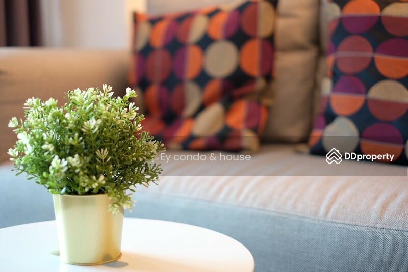 IDEO Mobi Grand Interchange Bangsue, Bangkok, 571 Pracha Rat Sai 2 Road, Bang Sue, Bangkok, 1 Bedroom, 33 sqm, Condo For Rent, by khun Ey, 11052564 - DDproperty.com