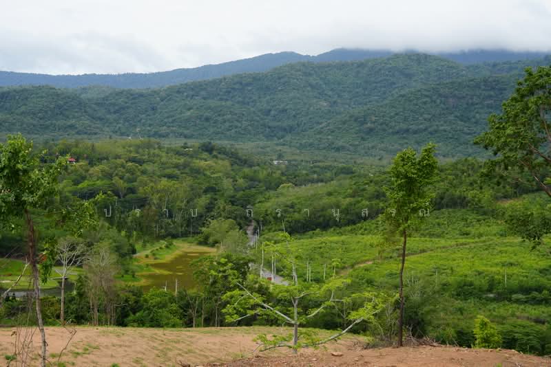 Khao Yai, Nakhon Ratchasima, Pong Ta Long, Pak Chong, Nakhon Ratchasima, , 145,600 sqm, Land For Sale, by Praab Thiranusorn, 11052639 - DDproperty.com