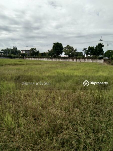 Land for sale 16-0-84 rai 2 km on Highway 11 above Nong Bua Nakhon Sawan intersection, Nakhon Sawan, ทางหลวงสาย 11, Nong Klap, Nong Bua, Nakhon Sawan, , 25,936 sqm, Land For Sale, by สมิตพงศ์ อาริยวัฒน์, 11053317 - DDproperty.com