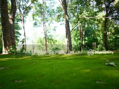 ขาย - ที่ดินเนินเขา อ.มวกเหล็ก จ.สระบุรี, สระบุรี